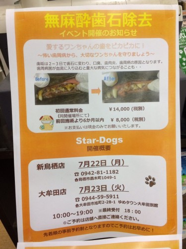 写真 2019-05-19 16 41 27