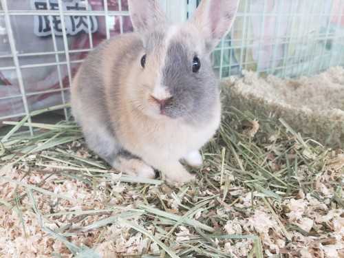 写真 2019-05-09 15 32 28