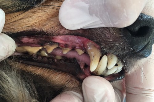 写真 2019-05-19 16 41 20