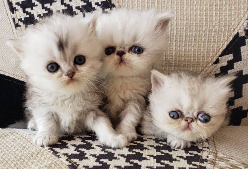 写真 2019-05-25 15 49 48