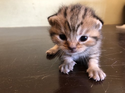 写真 2019-05-24 16 56 26