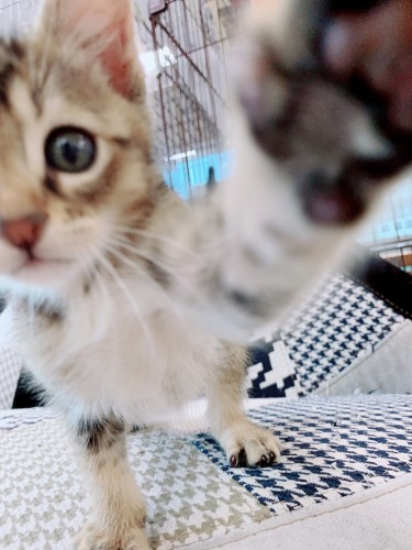 写真 2019-05-21 19 05 52 (1)