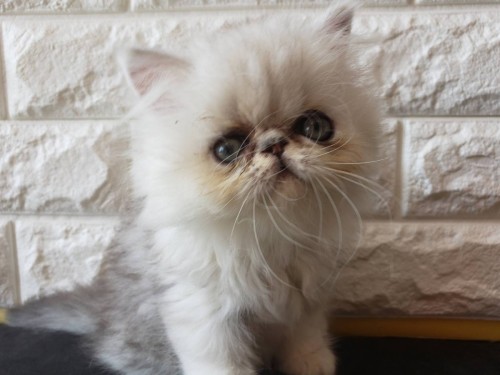 写真 2019-06-20 13 37 01