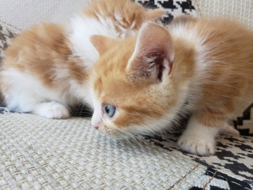 写真 2019-06-17 15 11 04