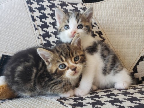 写真 2019-06-12 15 24 34