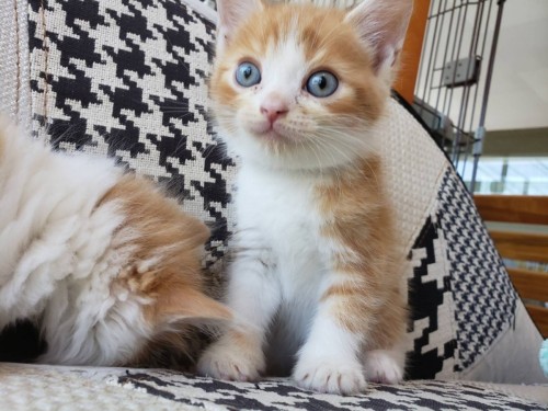 写真 2019-06-17 15 10 57