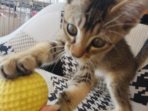 写真 2019-06-11 13 38 27