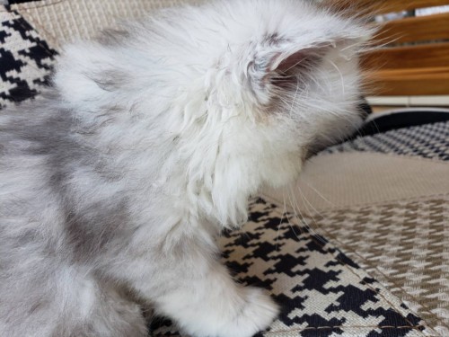 写真 2019-06-20 15 01 08