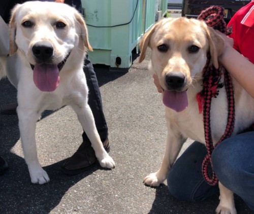 写真 2019-06-16 17 35 23