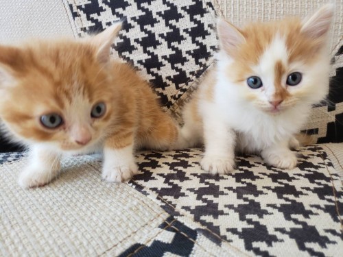 写真 2019-06-17 15 11 01