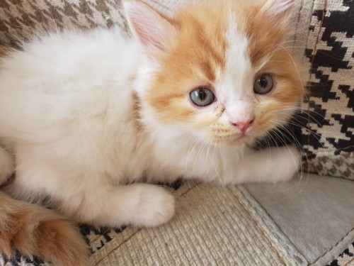 写真 2019-06-15 15 48 54