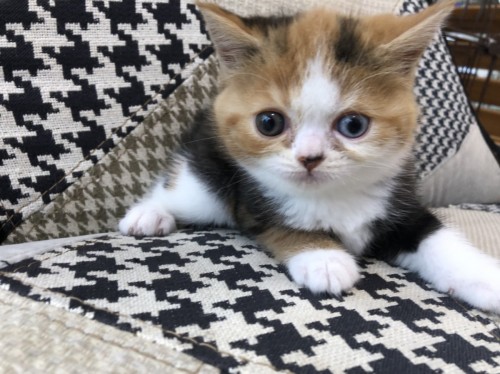 写真 2019-06-29 14 18 39