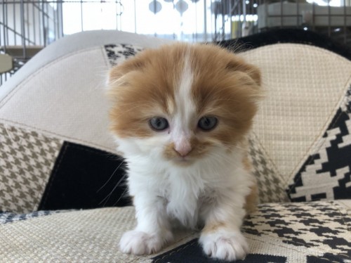 写真 2019-06-29 14 18 42