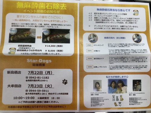 写真 2019-06-20 12 45 53