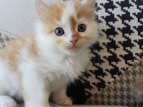 写真 2019-06-17 15 10 53