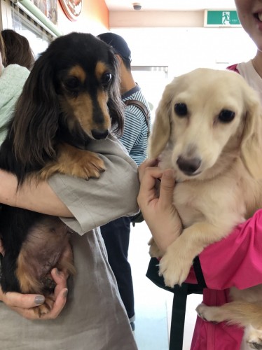 写真 2019-06-16 16 21 13 (1)