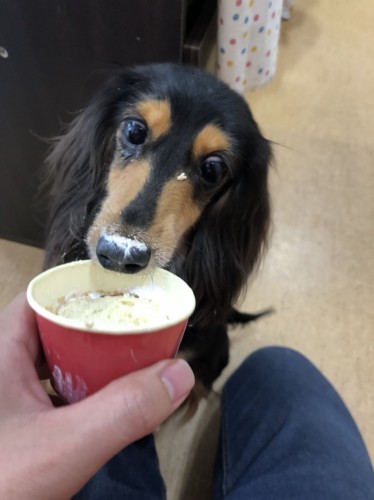 写真 2019-06-09 14 27 49