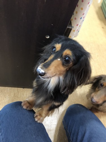 写真 2019-06-09 14 27 42