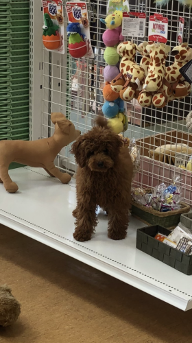 写真 2019-07-29 10 29 57