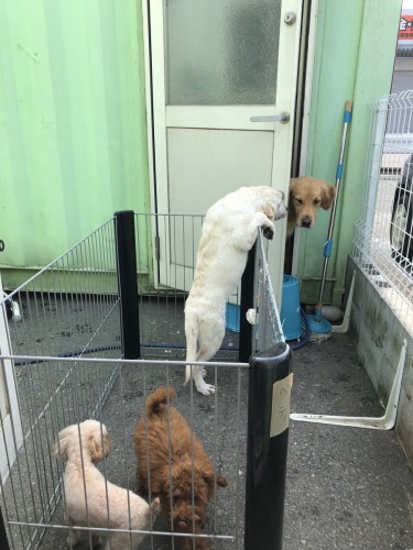 写真 2019-07-17 9 13 09