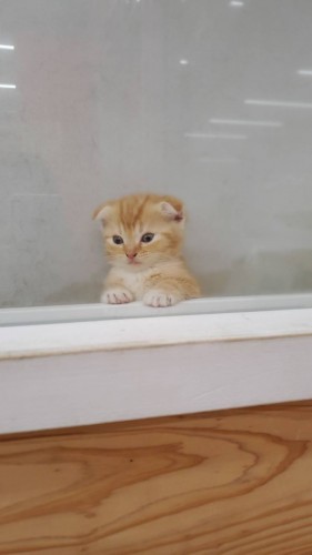 写真 2019-07-15 18 11 53