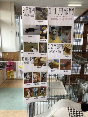 写真 2019-07-20 13 12 36