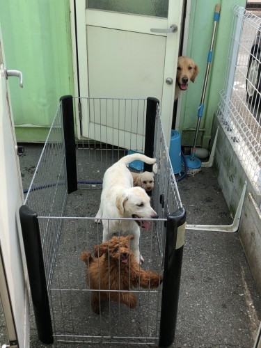 写真 2019-07-17 9 13 27