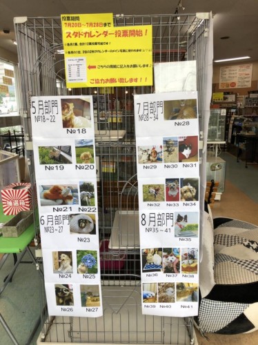 写真 2019-07-20 13 12 33