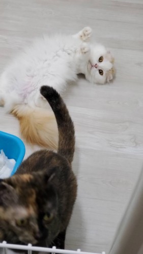 写真 2019-07-04 12 44 18