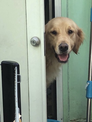 写真 2019-07-17 9 13 17