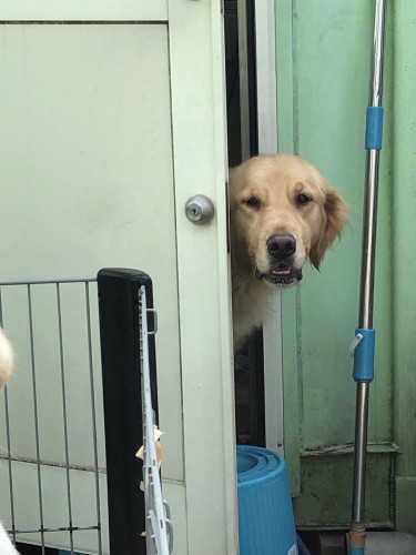 写真 2019-07-17 9 13 13