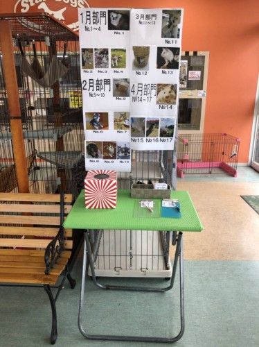 写真 2019-07-20 13 10 54