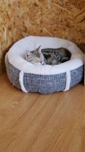 写真 2019-07-04 12 44 11