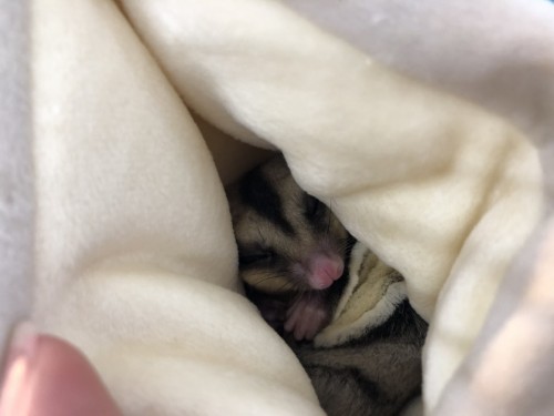 写真 2019-07-14 14 30 28