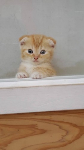 写真 2019-07-15 18 11 57