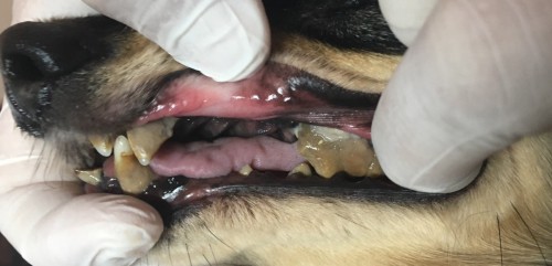 写真 2019-07-29 18 39 25