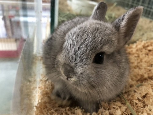 写真 2019-07-14 16 14 41