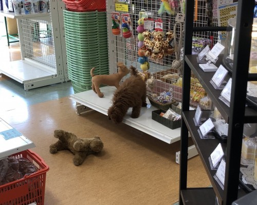 写真 2019-07-28 15 20 00 (1)