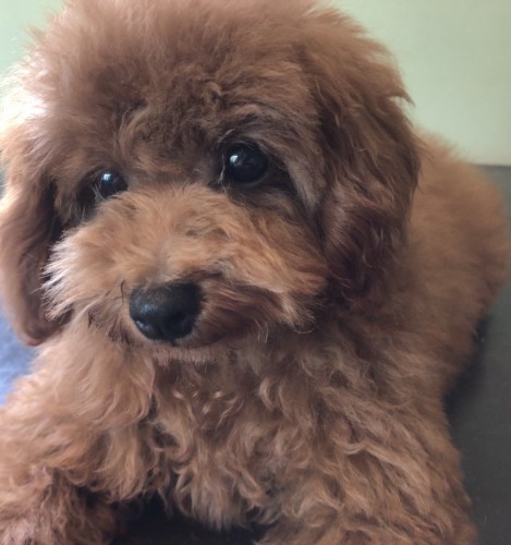 写真 2019-07-29 11 07 21