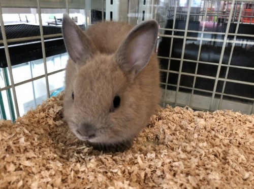 写真 2019-07-14 16 14 37