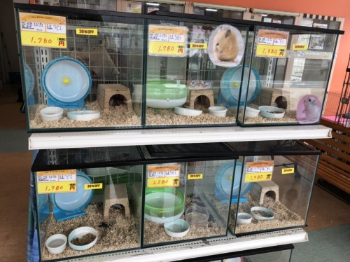 写真 2019-07-27 14 05 16