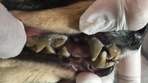 写真 2019-07-29 18 39 32