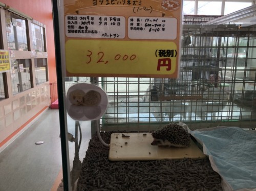 写真 2019-07-27 14 05 06