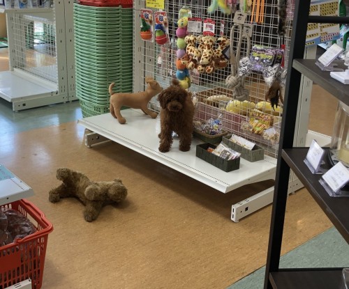 写真 2019-07-28 15 20 08 (1)