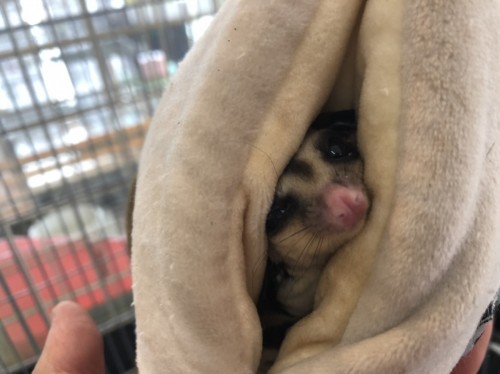 写真 2019-07-27 14 05 11