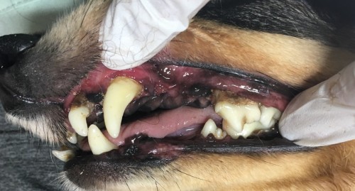 写真 2019-07-29 18 39 56