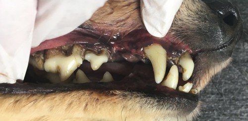 写真 2019-07-29 18 39 54