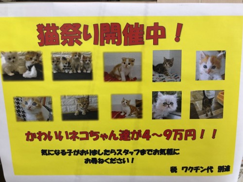 写真 2019-07-08 13 31 51