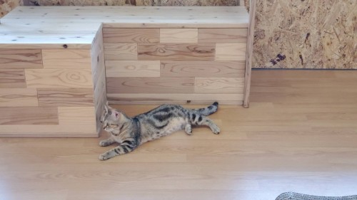 写真 2019-07-04 12 44 27