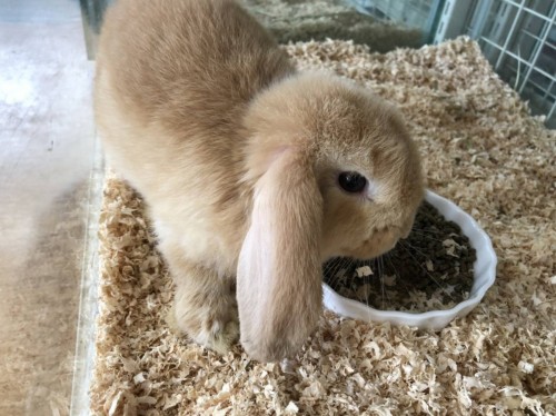 写真 2019-07-14 16 14 44